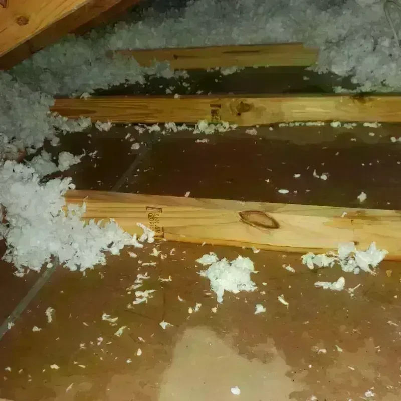 Attic Water Damage in Leicester, VT